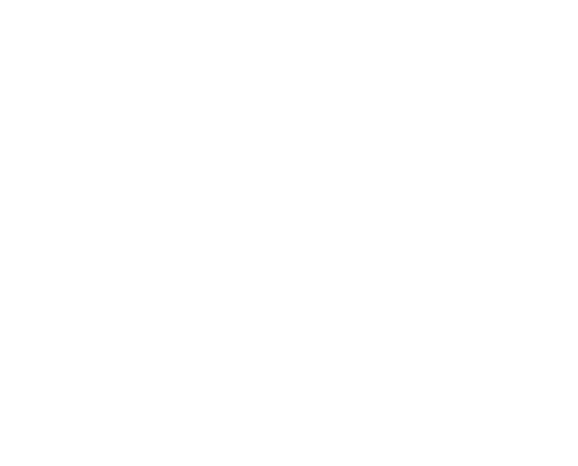 Young Icons
